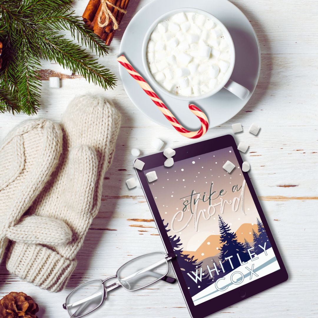 Novella Bundle