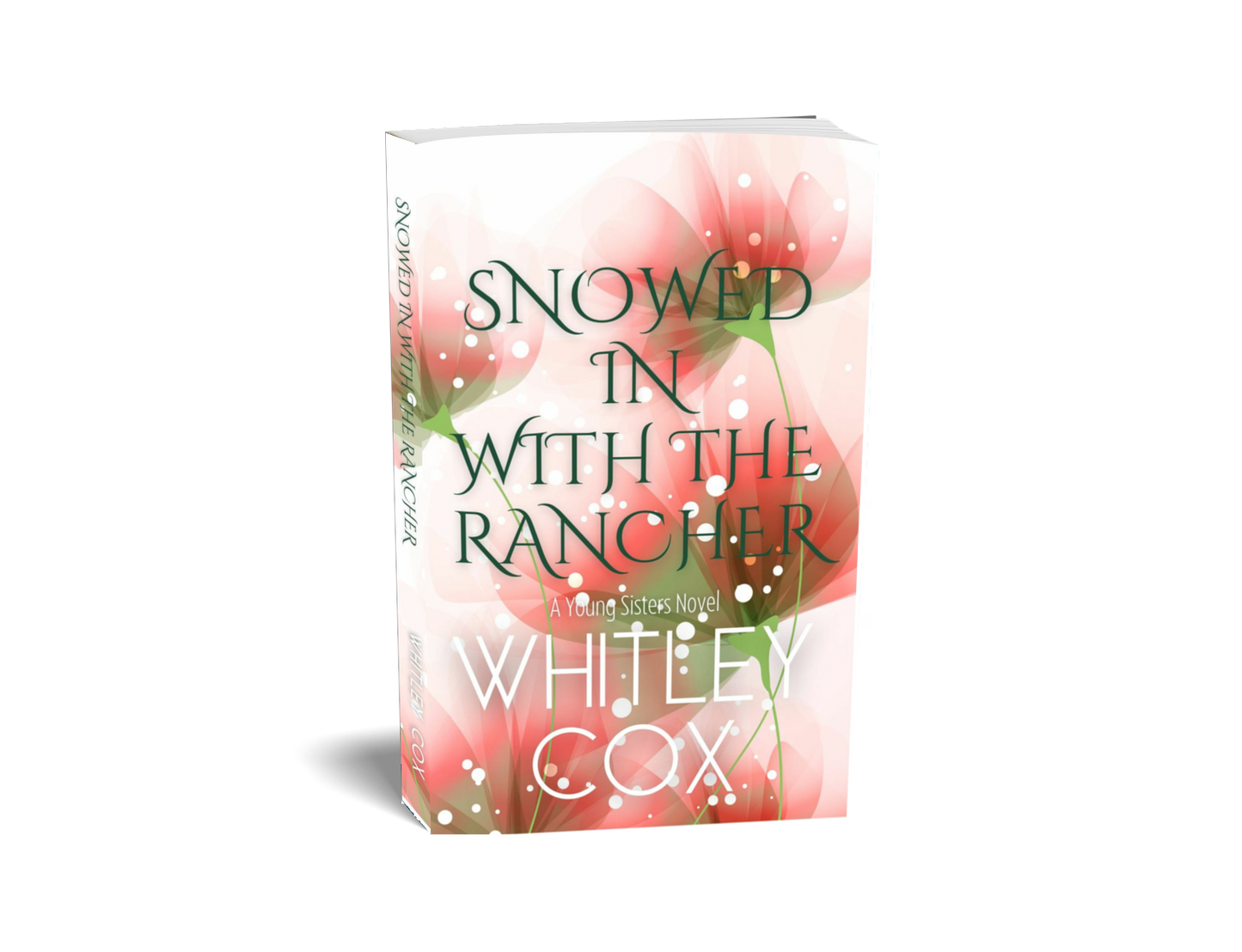 Snowed in with the Rancher