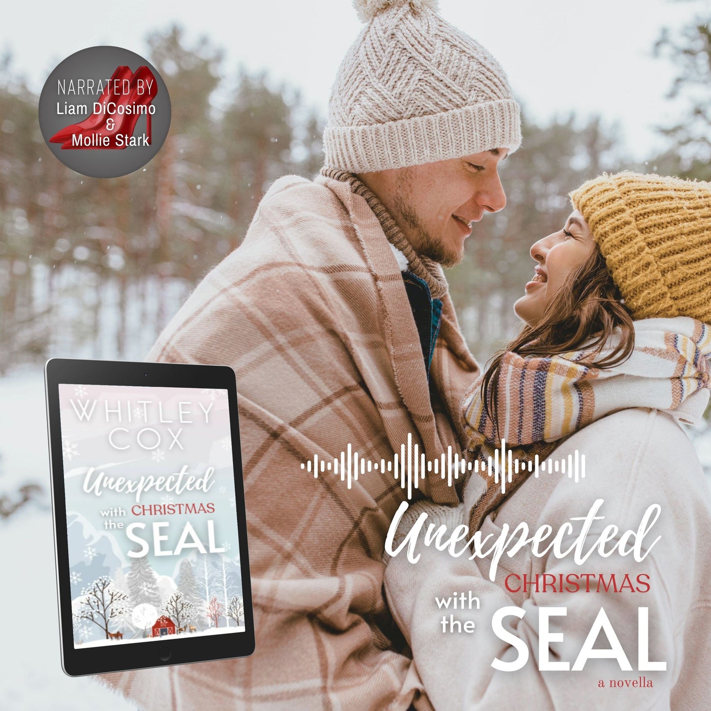 Unexpected Christmas with the SEAL - AUDIOBOOK